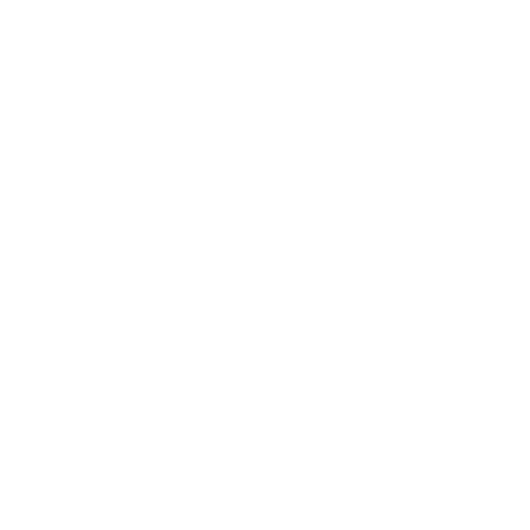 Biocca